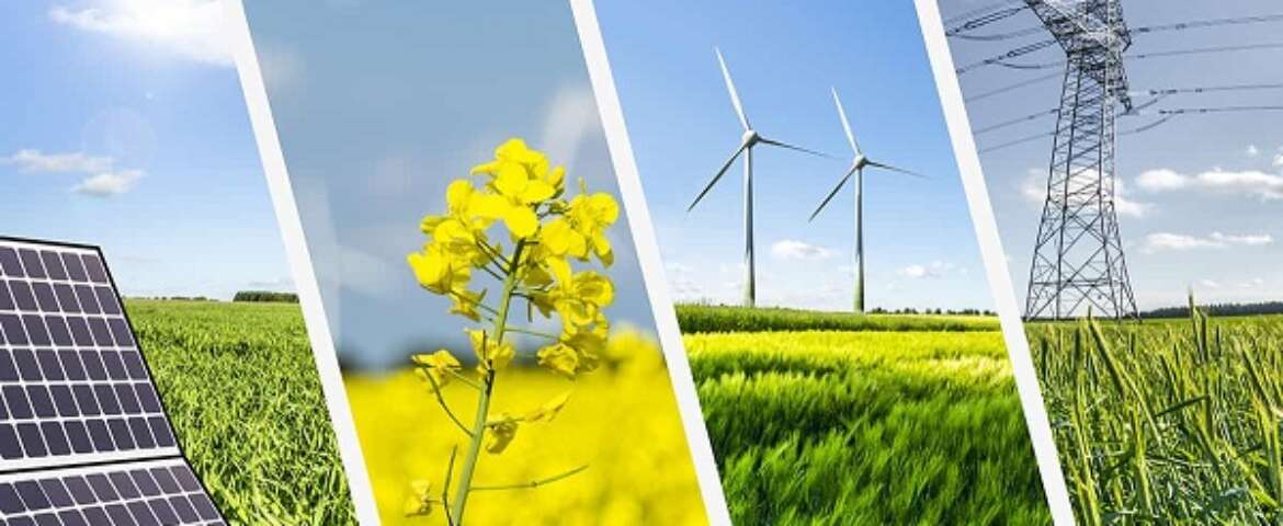 Power Generation & Renewable Energy